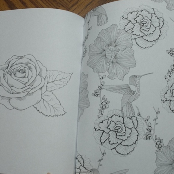 Flowers & Nature Coloring Book - Picture 5 of 6